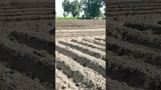 Ghre beh ke gallan ni mariyaaa ✌️👌💪🏻 #punjabimusic #pb08farming #pb02aale #farming