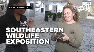 Southeastern Wildlife Exposition returns to Charleston for their 43rd year
