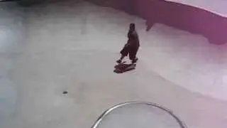 Piggy getting wiggly