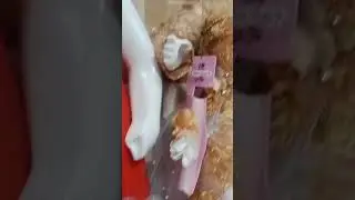 anfaal vlog