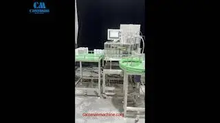 Cassman 1-1 canning line (300 cans per hour)