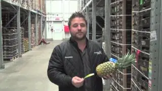 Le Jardin Mobile - Comment choisir le bon ananas