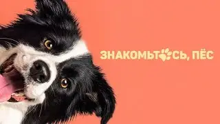 Знакомьтесь, пёс &mdash; Русский трейлер 2024