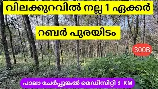 വിലക്കുറവിൽ നല്ല  1 ഏക്കർ റബർ പുരയിടം 🤩 | പാലാ ചേർപ്പുങ്കൽ സമീപം | 300B | Kerala Real Estate