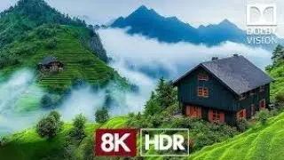 Maximum Brightness Dolby Vision 8K HDR 60fps Visuals Experience