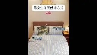 【😺CatDramaCorner】男女生冬天起床方式 #cat #貓meme小劇場 #00後 #shorts #shortvideo  #funny cat videos