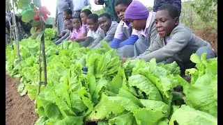 Latest News from Jacaranda School in Malawi