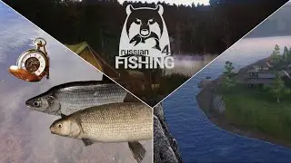 Bodenrenken Klein & Groß auf Frequenz? - Ehrenfischer Tunguska | Russian Fishing 4