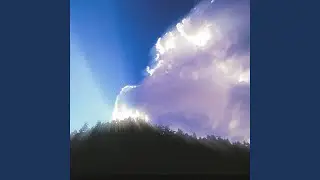 Lights