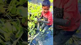 He Tried to Catch a Snakehead Fish&hellip; The Ending Shocked Everyone! 😲 #shortvideo #fishing #fish