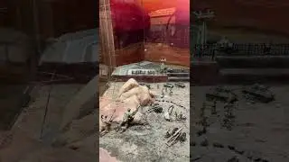 Mughalia saltanat! Imperio mogol #shortvideos #viral #shorts