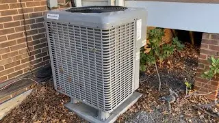 2020 Champion LX and 2010 Carrier Comfort 13 heat pumps (one running in heat mode)