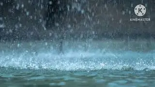 Chuva calma Sem anúncios 