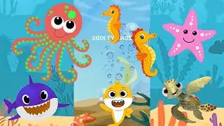 Видео с танцем акулы (Baby Shark) 2026 | Животные: дельфины, осьминоги, разные цвета, рыбы | Акул...