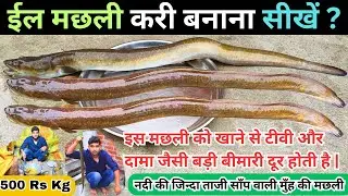 ईल मछली🐟जो की जंगल की कीचड़ से पकड़ी हुई की पूरी देसी गांव के अंदाज में पकाया | Eel Fish Curry At Home