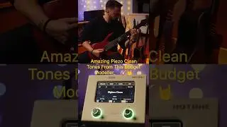 How can this budget Modeller sound so good? - Hotone Ampero Mini #guitar #guitarist