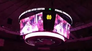 Tim Stop Notre Dame Pink Zone