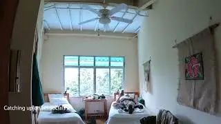 Canopy Tower