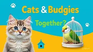 #Keeping Cats and Budgies in One Home &ndash; Risks & Safety Tips | Should You Keep Cat and Bird Together?