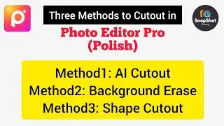 Cutout in Polish Photo Editor Pro | Three methods to Cutout in Polish | Snapshot Editing