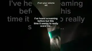 An SCP lockdown, there is someone screaming outside my room&hellip;