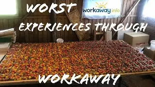 Our Top 5 Worst Experiences Through Work Away