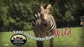 Hidden Valley Animal Adventure