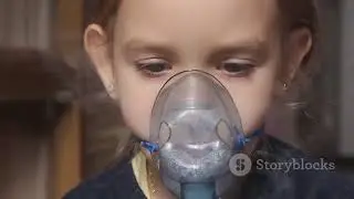 Understanding Human Metapneumovirus  HMPV