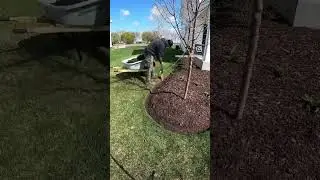 Edging and mulch installation ☝🏼☝🏼🔥🔥