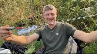 First fishing session back and nearly my last 👀 plus we found the fish result 🌊🌊