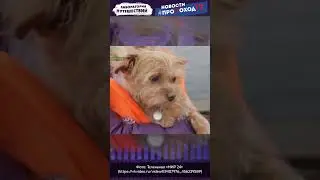 Медленный туризм: не ускоряйте путешествия и наслаждайтеськаждым днем #пропоходтв #новости