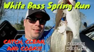 WHITE BASS RUN - Caesars Creek 2020   CATCH, CLEAN, AND COOK!