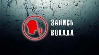 ECOR Studio Казань