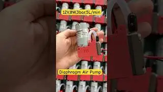 Micro Air Pump 3bar -70kPa 5L/min Diaphragm Gas Pumps 12V/24V