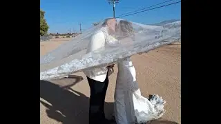 Random pictures of Cameron and Breanna's wedding