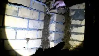 Termtie/White Ant Entry Points