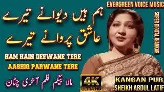 Mala Begum song | Ham hain deewane tere aashiq parwane tere | Urdu - Hindi song | remix song