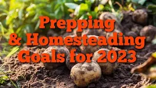 Prepping & Homesteading Accomplishments & Goals
