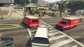 Rozgrywka LSPDFR #1 - Worni