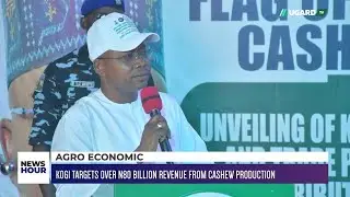 AGRO ECONOMY: KOGI TARGETS OVER N80 BILLION REVENUE FROM CASHEW PRODUCTION