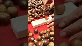 Nut cracker#nutshell #mechanical #technology #newideas #innovation #hazel #chest #nuts #nutrition