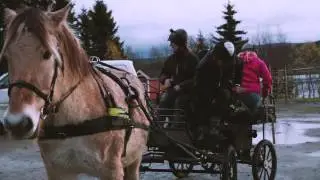 En dag p&aring; PMF