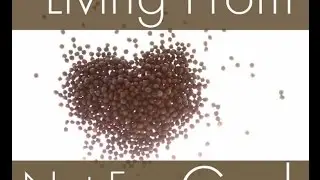 Living From Not For God: Part 1 