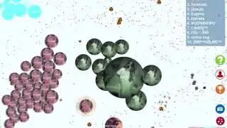 ☃Petri Dish☃//New POPSPLIT//Чашка Петри новый ПОПСПЛИТ