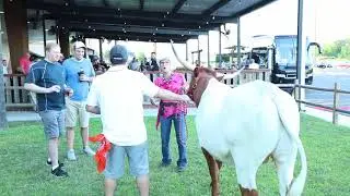 Outdoor Event Venue Activities - Houston Stampede Event Center