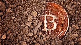BITCOIN SE HUNDE 🤦🏻&zwj;♂️ LA GRAN CA&Iacute;DA de 2021