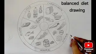 How to Draw Balanced Diet Diagram | Easy Science Drawing for Students