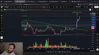 Every Crypto Investor NEEDS These 3 Projects In Their Portfolio