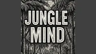 Jungle Mind DJ CT