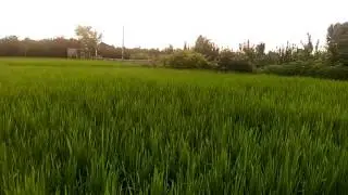 Babol, Mazandaran, Iran